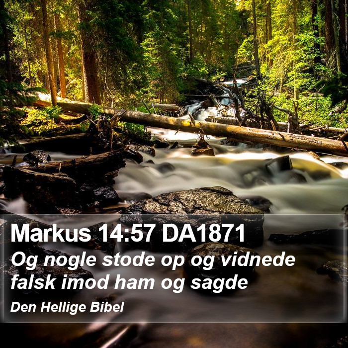 Markus 14:57 DA1871 Bible Study