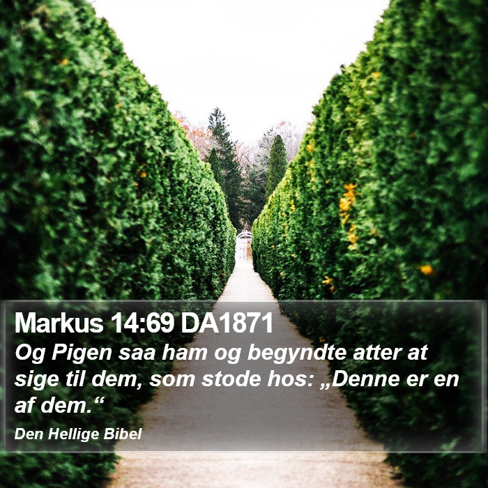 Markus 14:69 DA1871 Bible Study