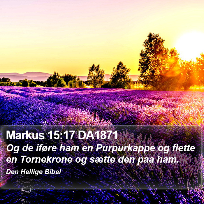 Markus 15:17 DA1871 Bible Study