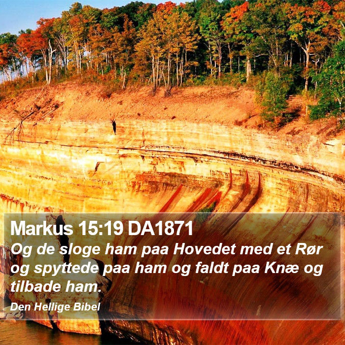 Markus 15:19 DA1871 Bible Study