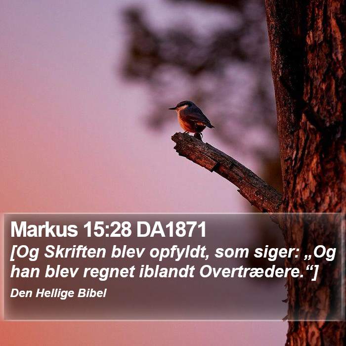 Markus 15:28 DA1871 Bible Study