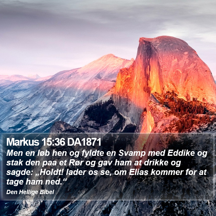 Markus 15:36 DA1871 Bible Study