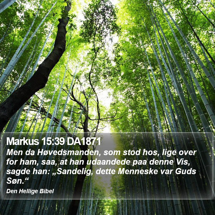 Markus 15:39 DA1871 Bible Study