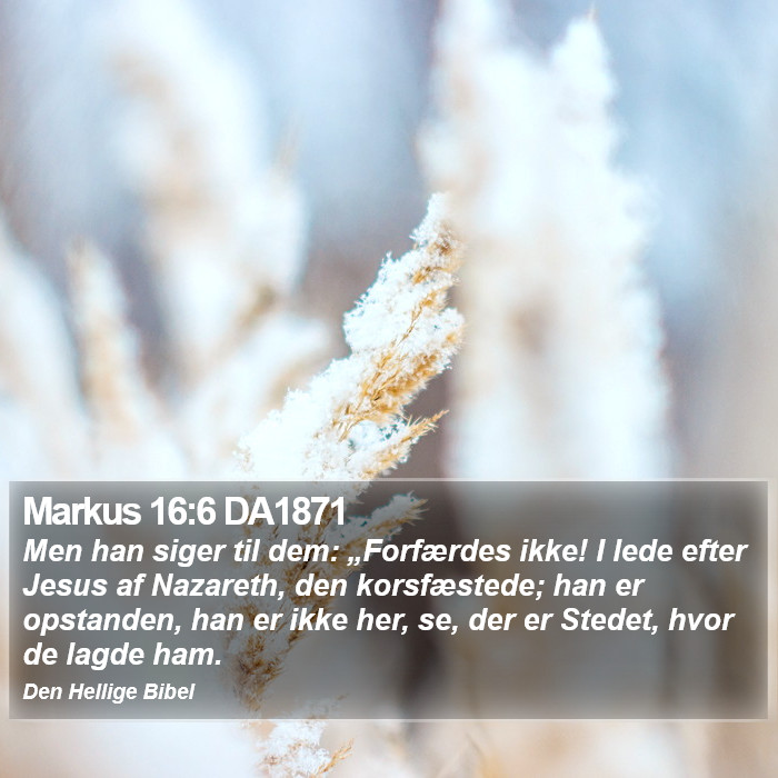 Markus 16:6 DA1871 Bible Study