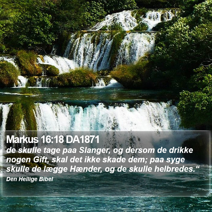 Markus 16:18 DA1871 Bible Study