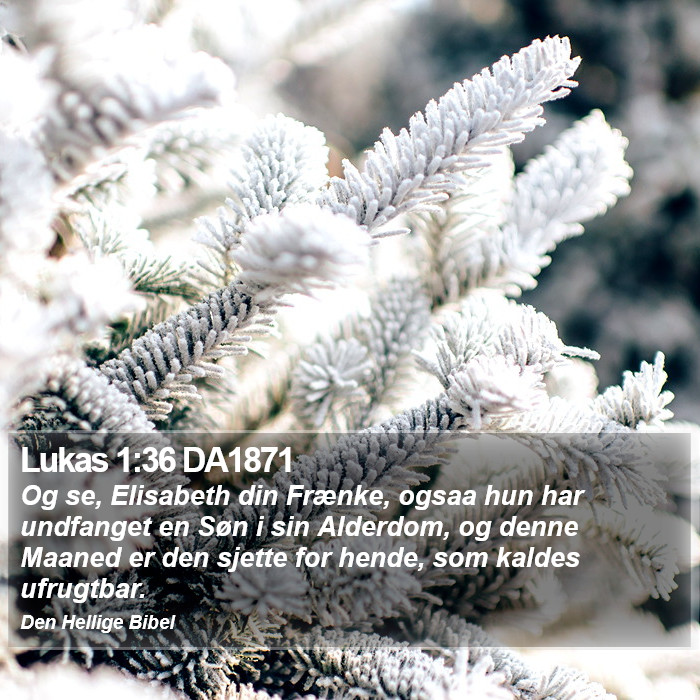 Lukas 1:36 DA1871 Bible Study