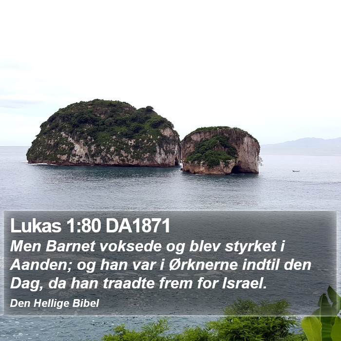 Lukas 1:80 DA1871 Bible Study