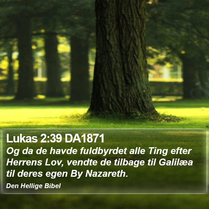 Lukas 2:39 DA1871 Bible Study
