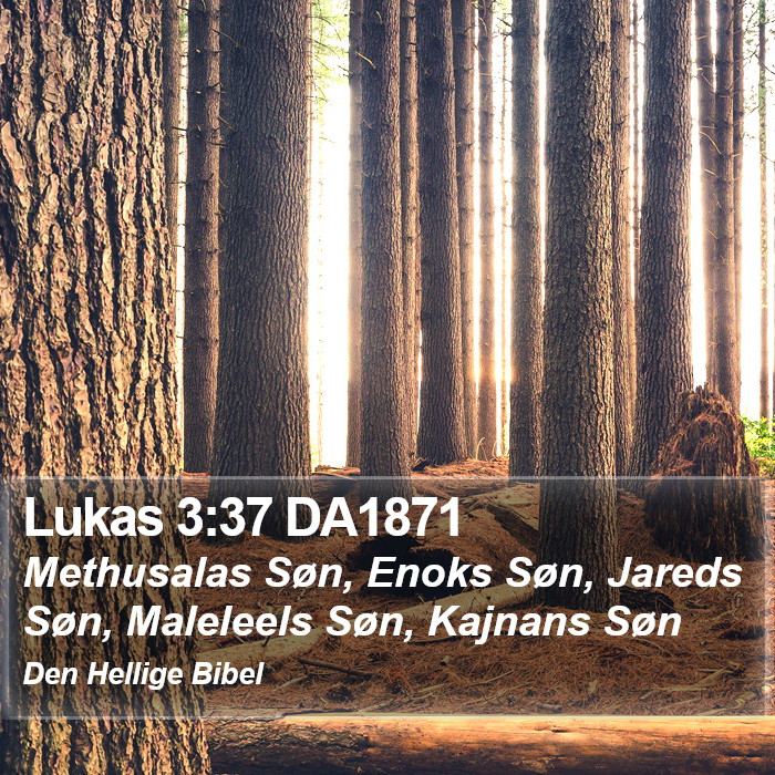 Lukas 3:37 DA1871 Bible Study