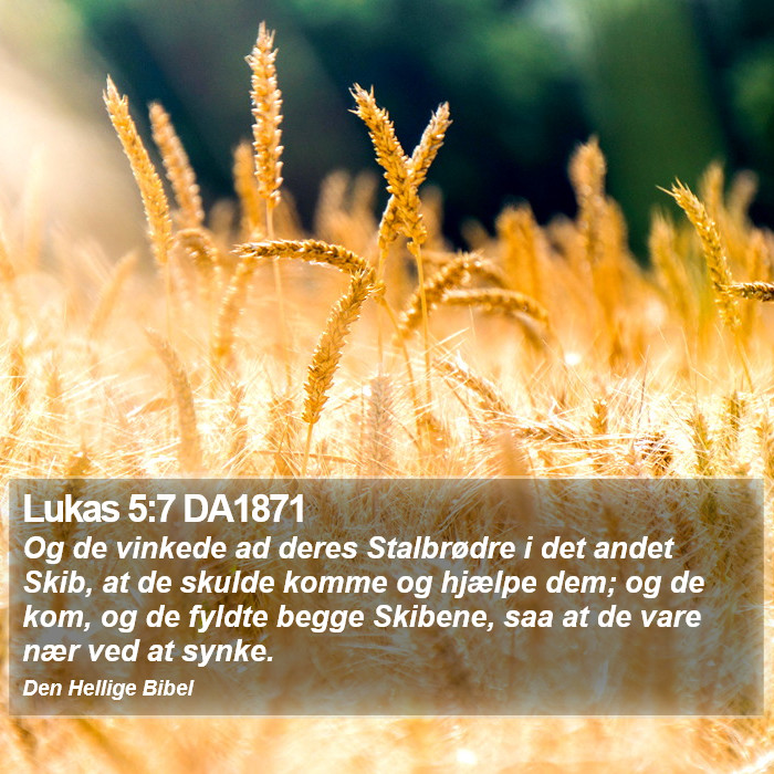 Lukas 5:7 DA1871 Bible Study