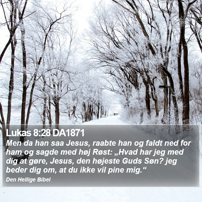 Lukas 8:28 DA1871 Bible Study