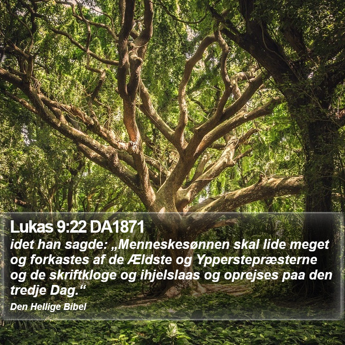 Lukas 9:22 DA1871 Bible Study