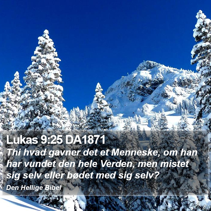 Lukas 9:25 DA1871 Bible Study