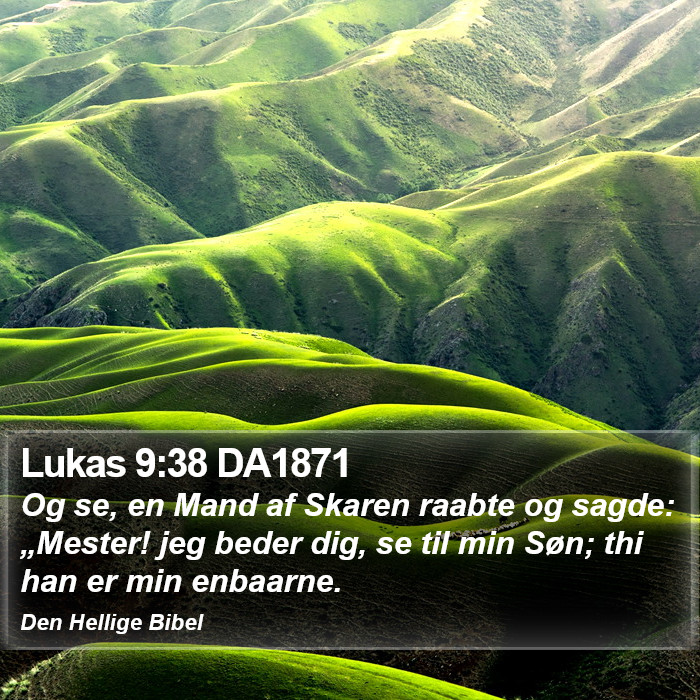 Lukas 9:38 DA1871 Bible Study