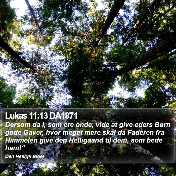 Lukas 11:13 DA1871 Bible Study