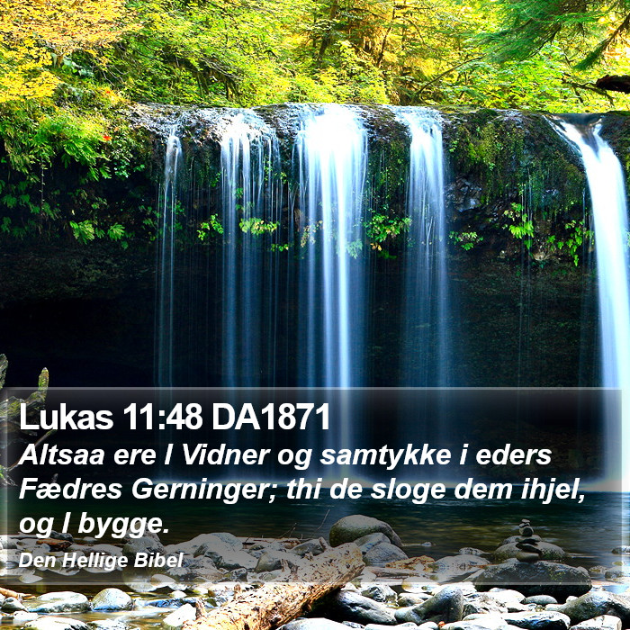 Lukas 11:48 DA1871 Bible Study
