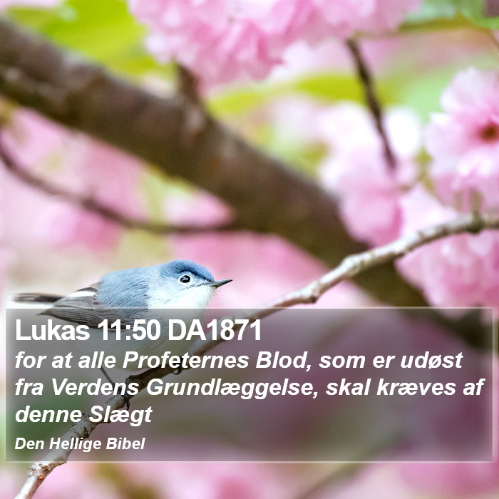 Lukas 11:50 DA1871 Bible Study