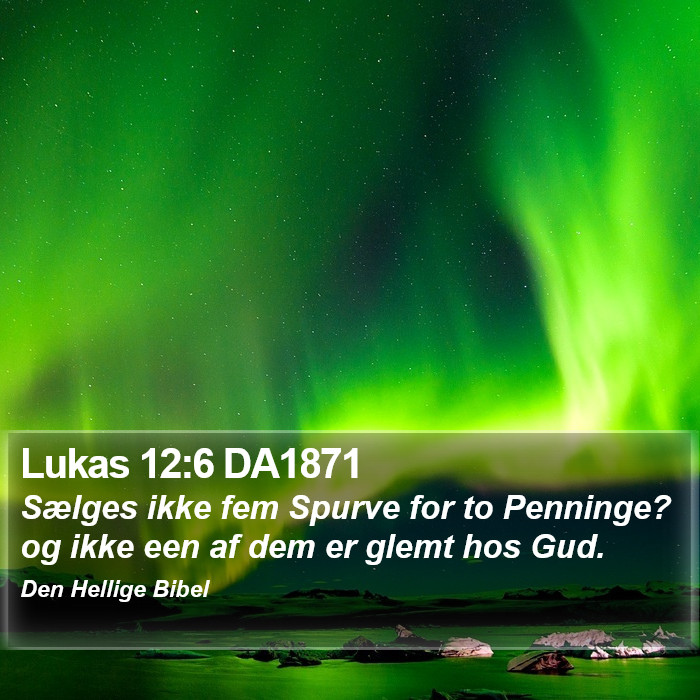Lukas 12:6 DA1871 Bible Study