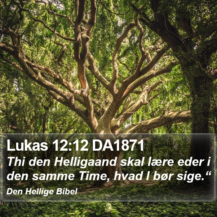 Lukas 12:12 DA1871 Bible Study