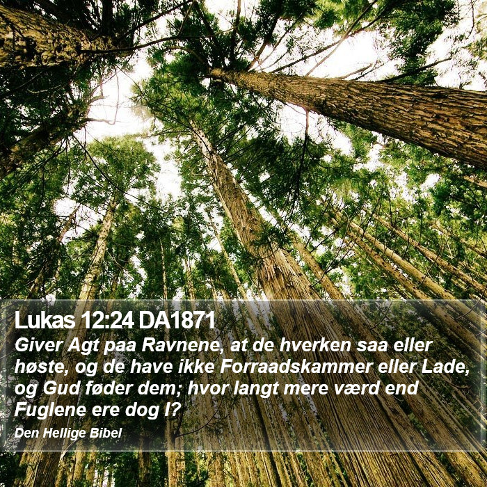 Lukas 12:24 DA1871 Bible Study