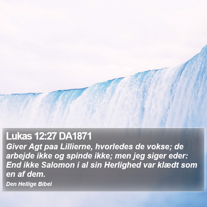 Lukas 12:27 DA1871 Bible Study