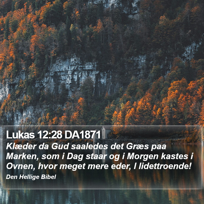Lukas 12:28 DA1871 Bible Study