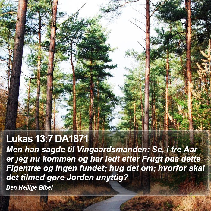 Lukas 13:7 DA1871 Bible Study