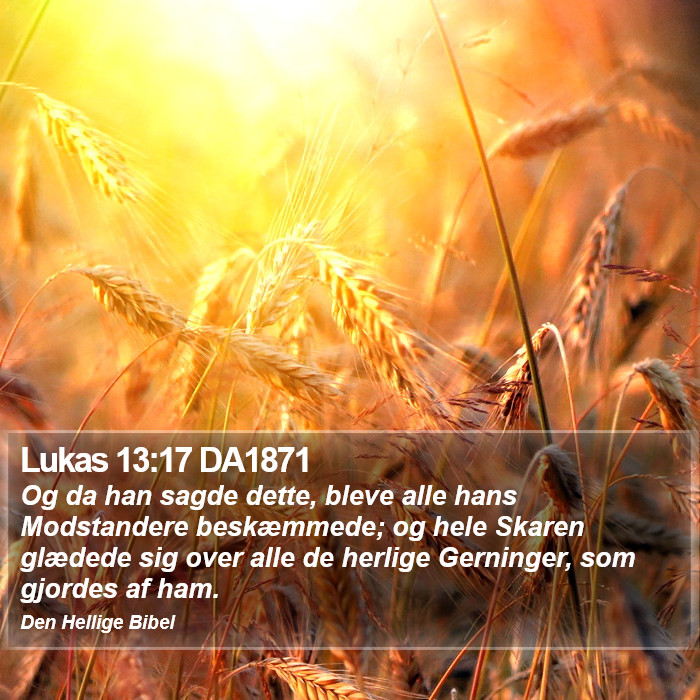 Lukas 13:17 DA1871 Bible Study