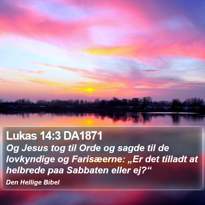 Lukas 14:3 DA1871 Bible Study
