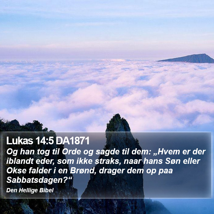Lukas 14:5 DA1871 Bible Study
