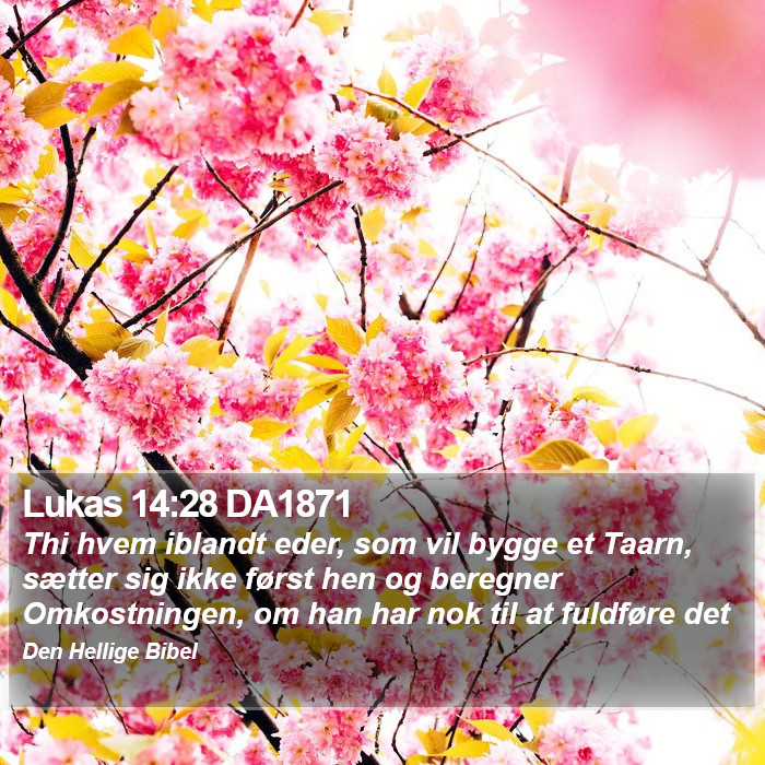 Lukas 14:28 DA1871 Bible Study