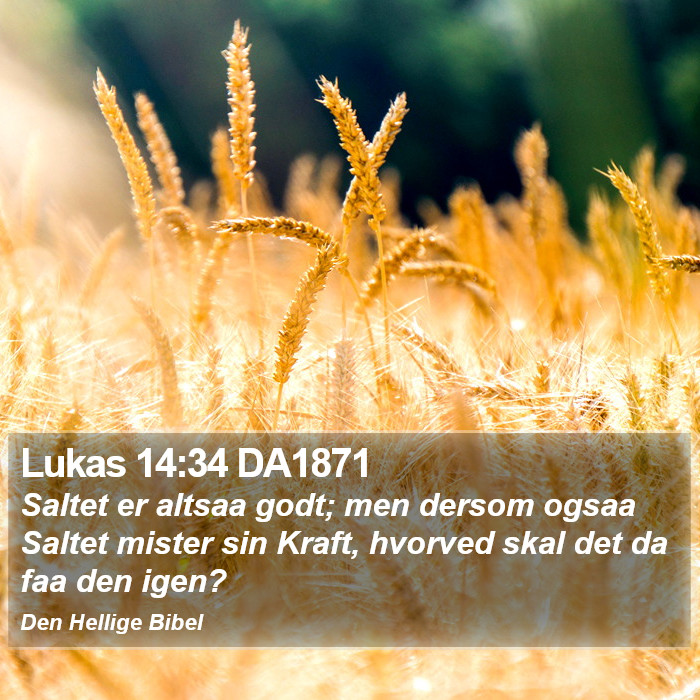 Lukas 14:34 DA1871 Bible Study