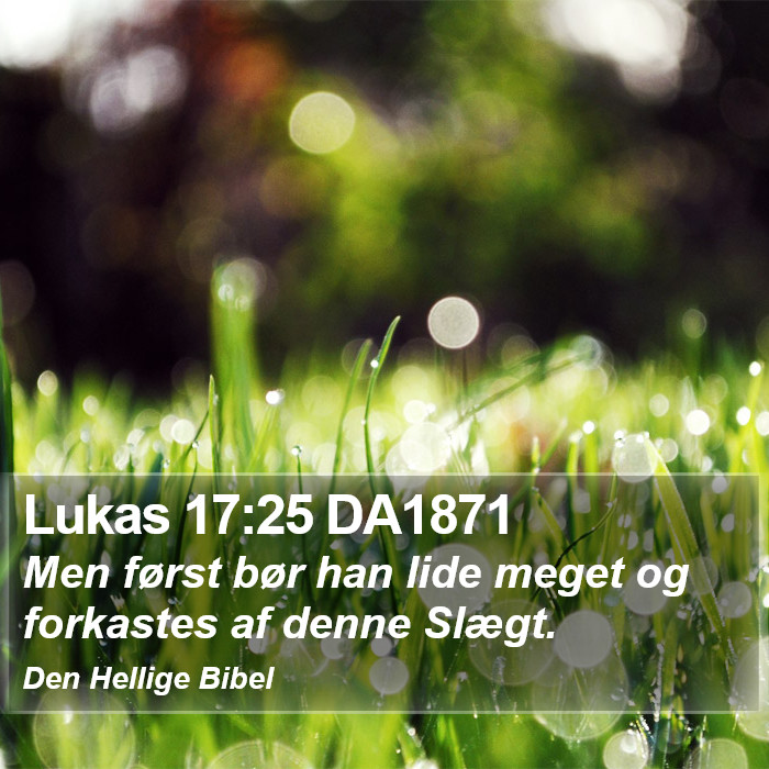 Lukas 17:25 DA1871 Bible Study
