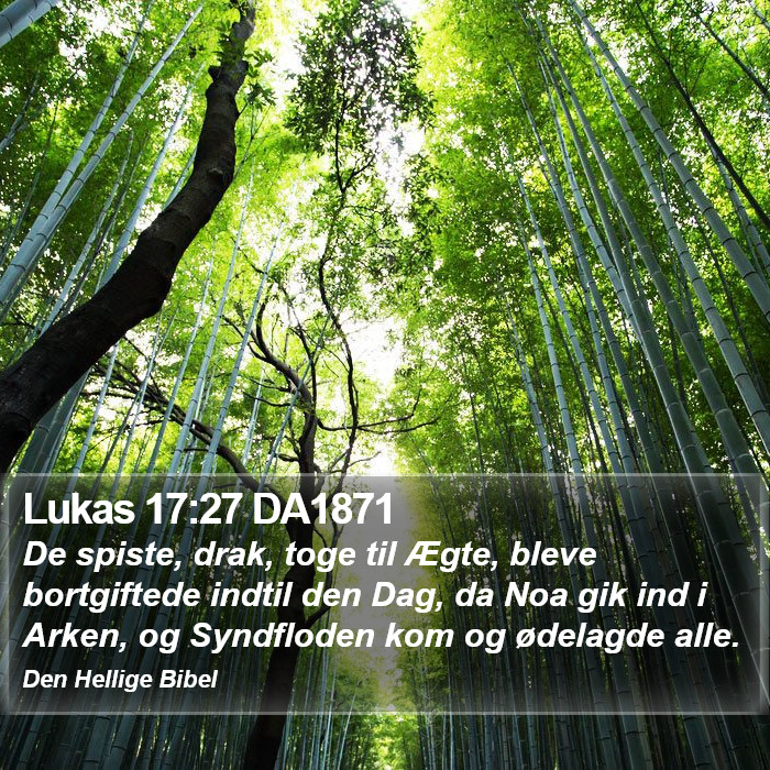 Lukas 17:27 DA1871 Bible Study