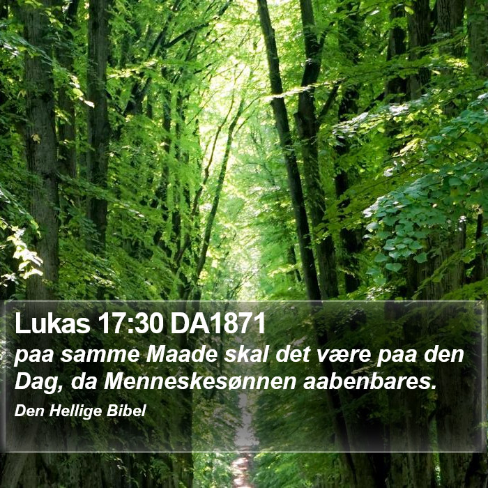 Lukas 17:30 DA1871 Bible Study
