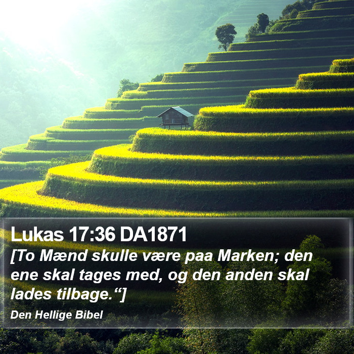 Lukas 17:36 DA1871 Bible Study
