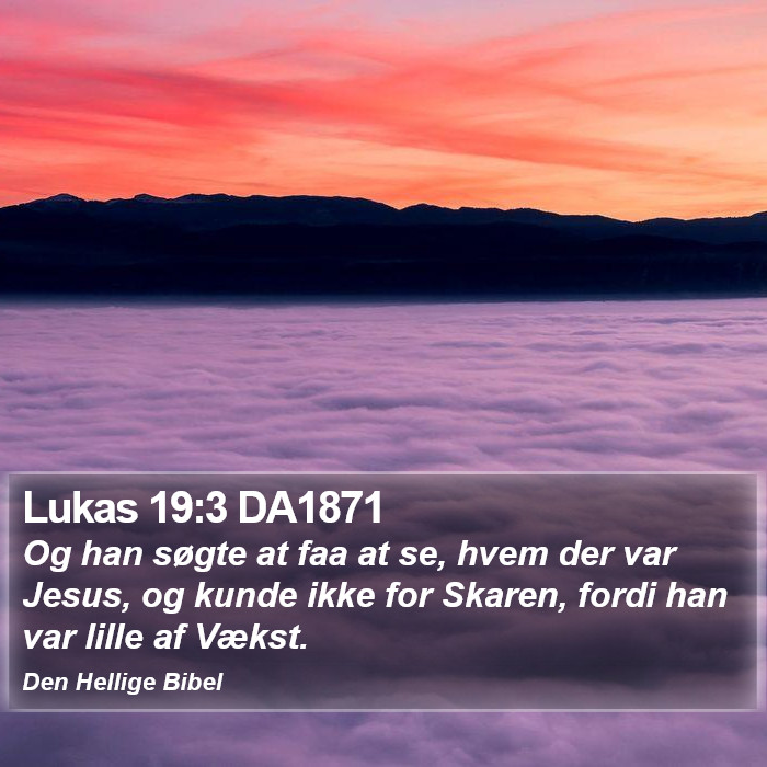 Lukas 19:3 DA1871 Bible Study