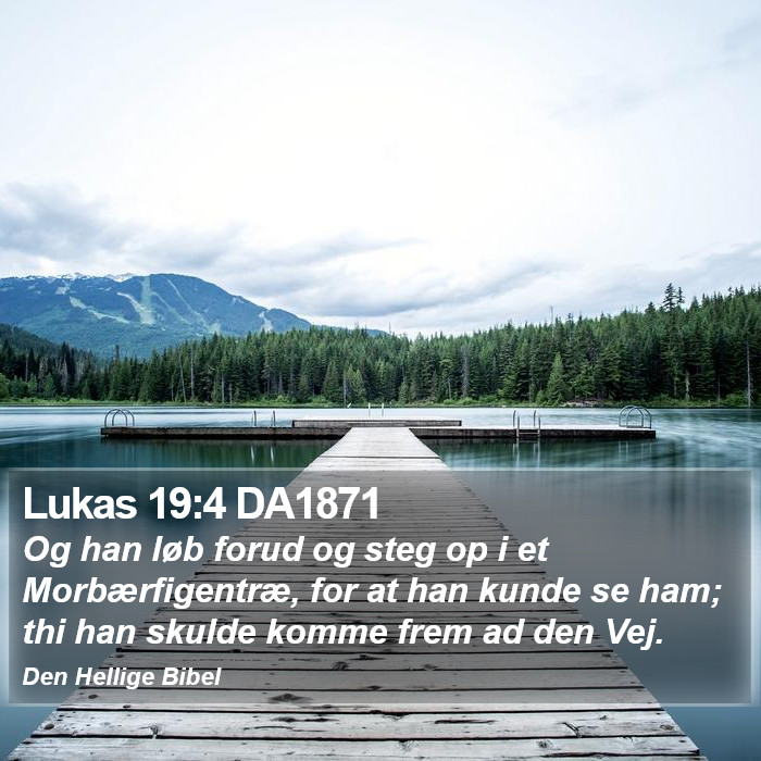 Lukas 19:4 DA1871 Bible Study