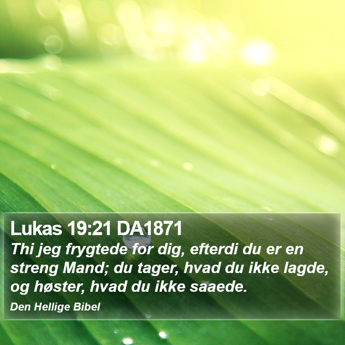 Lukas 19:21 DA1871 Bible Study