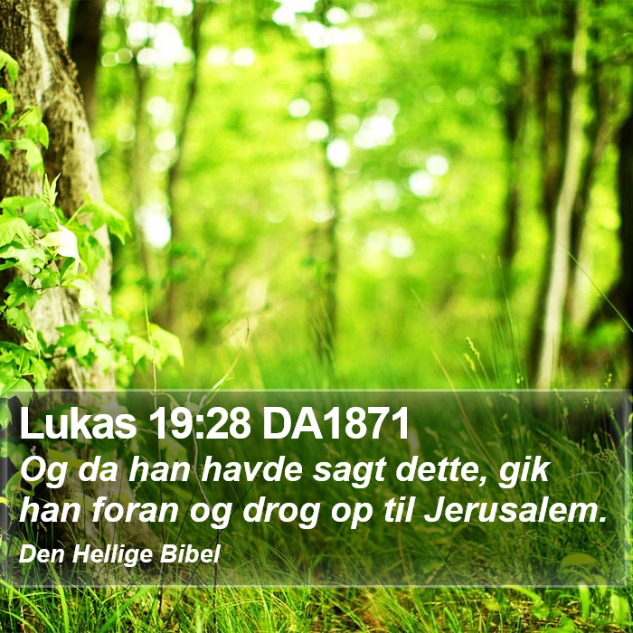 Lukas 19:28 DA1871 Bible Study