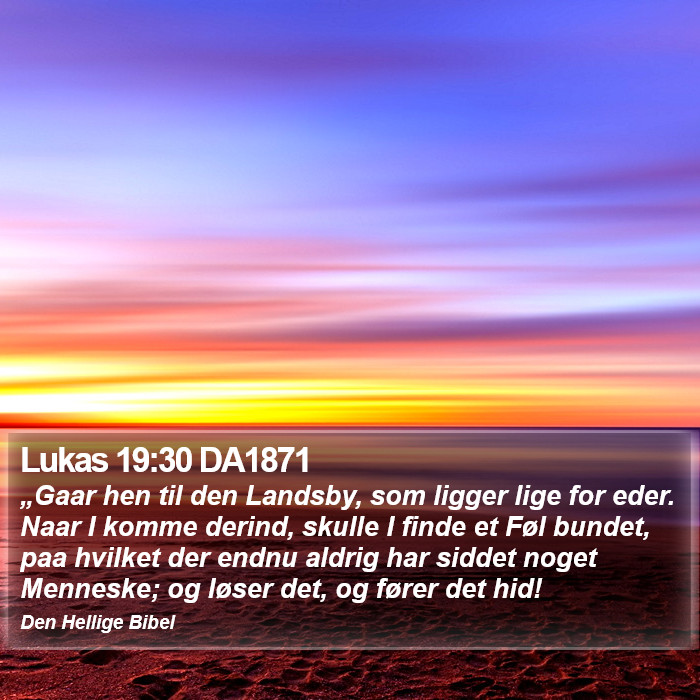 Lukas 19:30 DA1871 Bible Study
