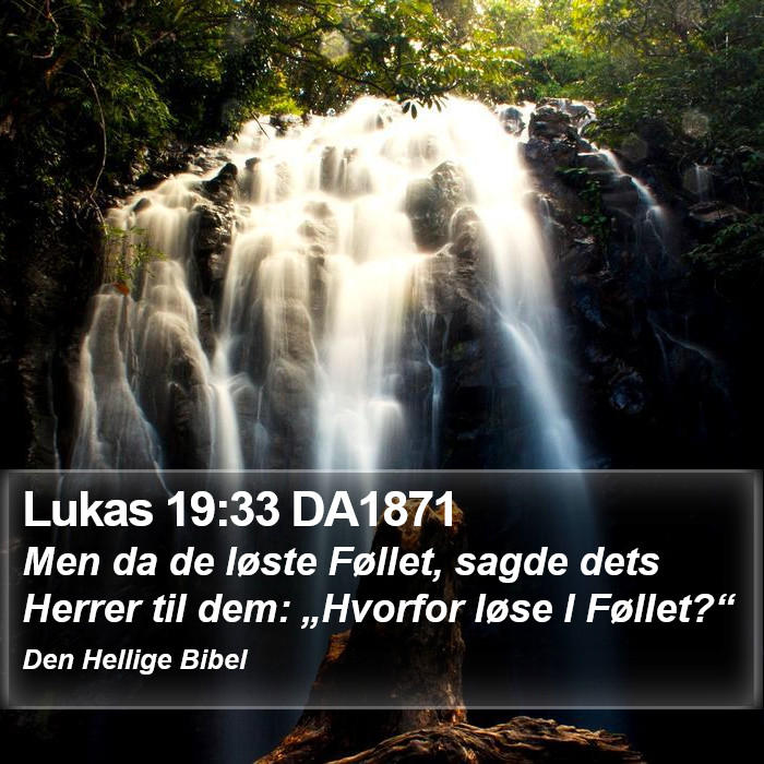 Lukas 19:33 DA1871 Bible Study