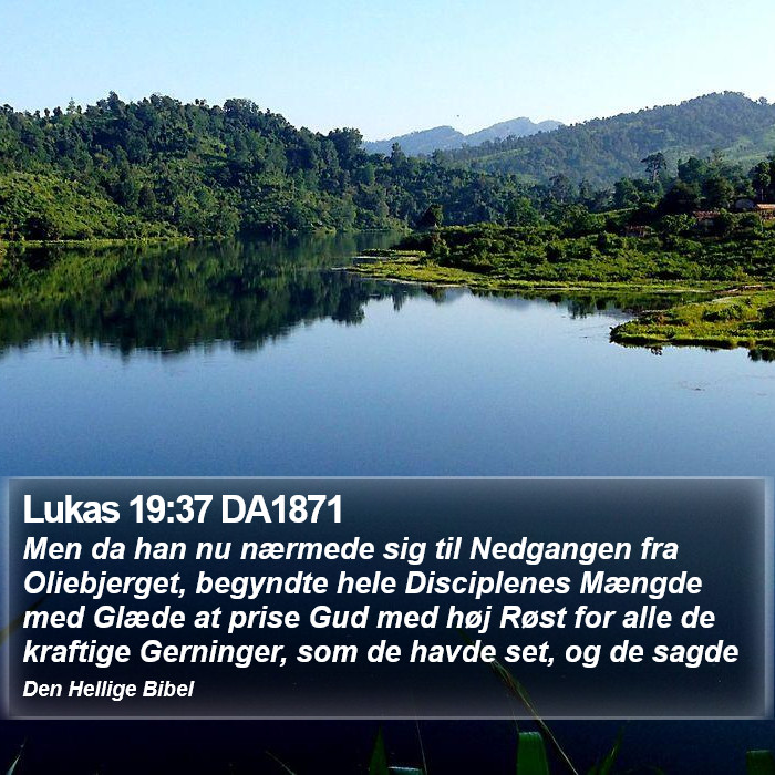 Lukas 19:37 DA1871 Bible Study