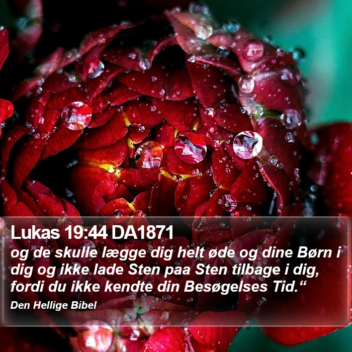Lukas 19:44 DA1871 Bible Study