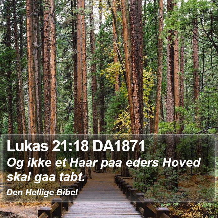 Lukas 21:18 DA1871 Bible Study