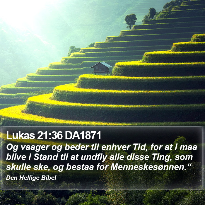 Lukas 21:36 DA1871 Bible Study