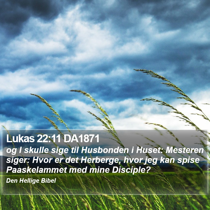 Lukas 22:11 DA1871 Bible Study