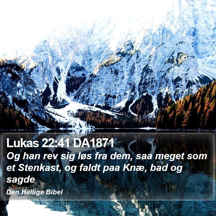 Lukas 22:41 DA1871 Bible Study