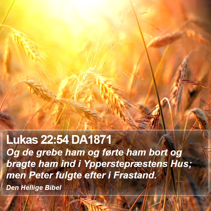 Lukas 22:54 DA1871 Bible Study