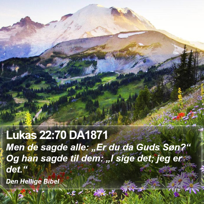 Lukas 22:70 DA1871 Bible Study